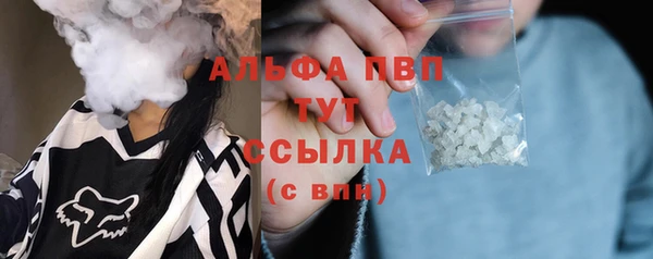 кокс Арсеньев