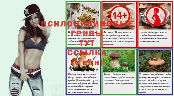 ешки Алексеевка
