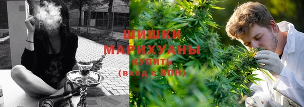 тгк Армянск